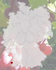 Breisach am Rhein