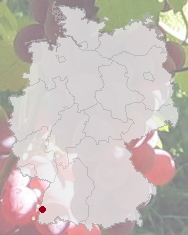 Eichstetten am Kaiserstuhl