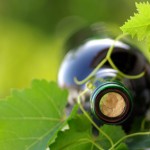 Weinflasche und Rebblatt